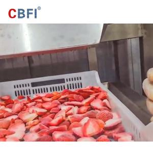 Vente industrielle automatique de congélateur de lit fluidisé de machine de souffle de congélation rapide de fabricant de CBFI - Product Image 5