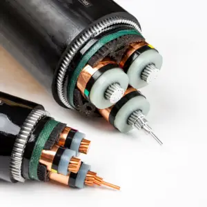 Copper Conductor XLPE Insulated PVC Sheathed MV Power Cable N2xsy N2xsey