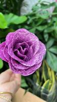 Buket Bunga Kristal Rose Gold 50pcs Langsung dari Pabrik Super Z, Biru Enchantress, untuk Hari Valentine, Glitter DIY Berkualitas Tinggi