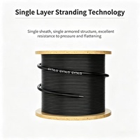 Câble à fibres optiques souterrain extérieur GYTA/GYTS 2-288 fibres SM G652d blindé en acier avec gaine en PVC Guangdong Chine OEM&ODM