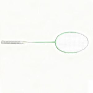 Ensemble de raquettes de <span class=keywords><strong>badminton</strong></span> en alliage de fer, professionnel, 2 pièces, cadre monobloc, raquette de sport durable pour débutant, entraînement en intérieur et en extérieur - Product Image 2