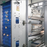Équipement d'élevage avicole HIGHTOP, cage à poulets entièrement automatique de type H pour 30 000 à 50 000 poules pondeuses