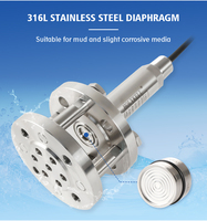 Capteur de niveau submersible Holykell IP68 4-20mA RS485, transmetteur hydrostatique de liquide pour pétrole brut et eau boueuse