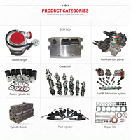Pièces de moteur automobile Injecteur de carburant Common Rail 0445110955 Injecteur diesel pour Ford Peugeot