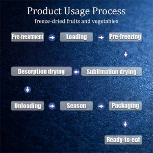 مجفف بالتجميد عالي الكفاءة، جهاز تجفيف بالتبريد من الفولاذ المقاوم للصدأ لحفظ المأكولات البحرية واللحوم - Product Image 4