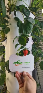 Système de culture hydroponique intelligent pour plantes d'intérieur, petite <span class=keywords><strong>serre</strong></span> domestique, jardin d'herbes aromatiques, éclairage de croissance, systèmes de culture hydroponique - Product Image 2