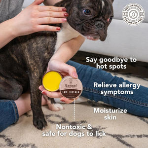 Allergy and Itch Relief Dog Dry Skin Moisturizer Balm Dog <span class=keywords><strong>Rash</strong></span> <span class=keywords><strong>Cream</strong></span> Natural Dog Skin Soother - Product Image 3