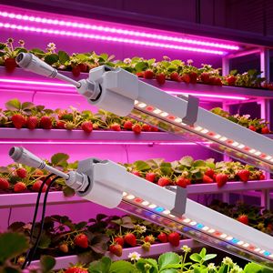 Full Spectrum Bloom Crescimento Planta Interior LED T8 Crescer Luz IP65 20W Dimmable para Clone Agricultura Vertical - Product Image 5