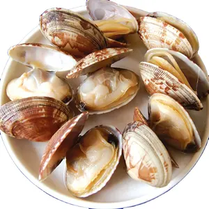 Deliziosa carne di vongole naturale di pesce fresco certificato MSC per cucinare