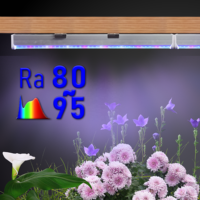 Kasplant COB 120-140 µmol/m²/s Bloei Roze Wit Blauw Volspectrum LED Kweeklamp