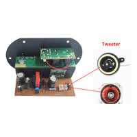 Carte amplificateur SF10 Power 45W pour audio 12/24V 110/220V, caisson de basses, double microphones, 4 ohms, haut-parleurs de voiture 6-10 pouces, caisson de basses