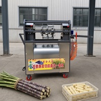 Machine automatique de pelage et de découpe de canne à sucre en acier inoxydable 1100W, éplucheur de canne