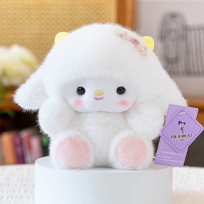 Cute sheep