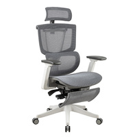 Chaise de bureau pivotante de luxe et confortable gris, dossier haut ergonomique en maille avec Support lombaire