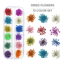 MyBeautyNails – Lot de 12 couleurs de fleurs séchées naturelles pour décoration d'ongles, compatibles avec le gel de construction et les moules à ongles