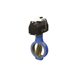 Série F634 – Vanne de régulation à fixation par pince pour boues, en fonte et acier au carbone, résistante à la corrosion - Product Image 1