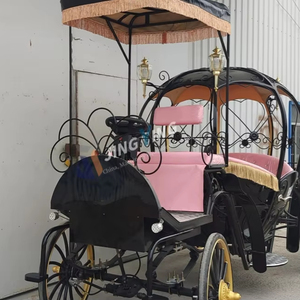 Nuevo Diseño 2025: Carruaje Eléctrico para Eventos Inspirado en la Zapatilla de Cristal y el Coche de Calabazas Encantado, con Capacidad para 4-8 Asientos y <span class=keywords><strong>Velocidad</strong></span> de 45 km/h - Product Image 1