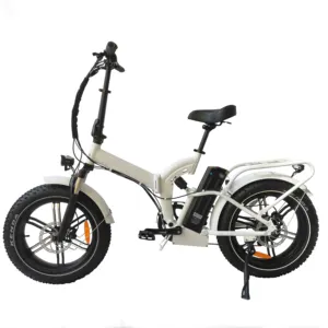 QUEENE/Chopper Fat electric bicycle Vintage E bike Retro FOLDING electric bike 48v 750w