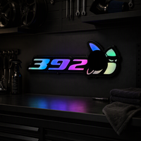 Enseigne néon LED personnalisée pour l'Amérique du Nord, motif chat anime, RGB multicolore, décoration murale