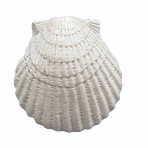 Decoraciones de resina con forma de estrella de mar para acuario, juego de adornos de estilo mediterráneo para decoración de tanques de mascotas - Product Image 5