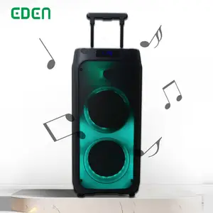 Dual 8 inch Blue Tooth Speaker Audio Sound Box PA Party Speakers PartyBox 100 equipo de sonido with mic
