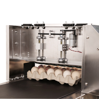 Máquina Automática de Impresión/Codificación/Marcado de Huevos TIJ de 6 Cabezales con Tinta Comestible, 1 Año de Garantía, Alta Productividad, Nueva Impresora para Bandejas de Huevos