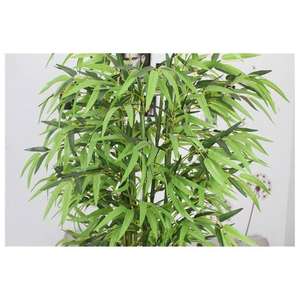 Nouvelle Arrivée Blanc Ficus Herbe Arbres Artificiels Bouquet Vert Fleur De <span class=keywords><strong>Magnolia</strong></span> OEM/ODM En Gros À Bas <span class=keywords><strong>Prix</strong></span> Ornements De Jardin - Product Image 5