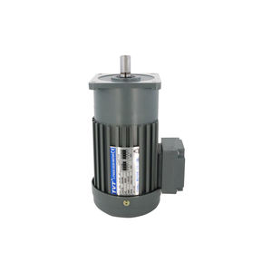 <span class=keywords><strong>Motor</strong></span> de Engranajes de Inducción de CA Trifásico de 220V/380V, 200W, 18mm, 50Hz/60Hz, Tipo Vertical - Product Image 2