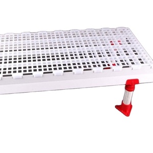 Equipo de Granja Avícola de Alta Calidad, Piso de Rejilla de Plástico Antideslizante, Duradero y Fácil de Limpiar - Product Image 5