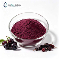 Chokeberry Fruit Extract Poeder 25% Anthocyanen Aronia Melanocarpa Natuurlijke Plantenpolyfenol voor Voedingssupplementen Voedingskwaliteit