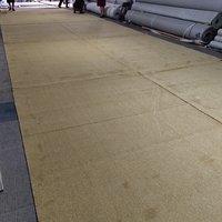 Moderner Nordischer Maschinell Gefertigter Hochflor-Teppich aus Polypropylen, Rutschfest und Vielseitig, für Hotel, Schlafzimmer, Wohnzimmer, Fitnessraum und Besprechungszimmer