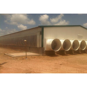 Singola larghezza strato di uovo allevamento di pollame fattoria fienile prefabbricato casa di gallina per 10000 polli - Product Image 6