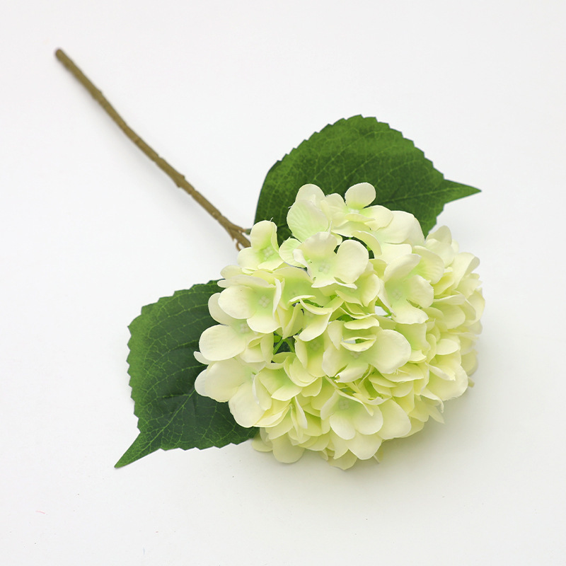 Green and white