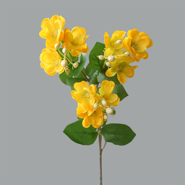 Giallo