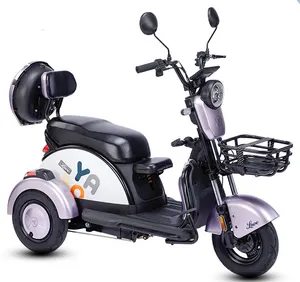 Vente en gros pas cher 2024 dernier style tricycle électrique mobilité scooter Tricycle 600W/800W1000W vélo électrique pour adultes