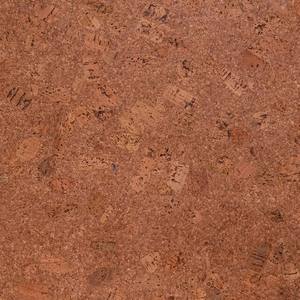 Carreaux muraux en liège 100 % premium Native Earth 10, écologiques, légers et faciles à installer, panneaux muraux décoratifs, prix en gros - Product Image 1