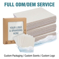 Feuilles de lessive 3-en-1 Marque Blanche OEM ODM Logo Personnalisé Parfum Nettoyage en Profondeur Détachant Adoucissant pour Tous Vêtements