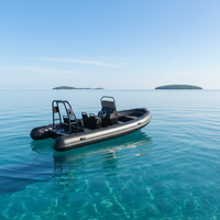 Bateau gonflable rigide en aluminium, 18 pieds, Rhib 560, 10 capacités, Hypalon/PVC, à vendre