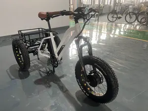 Factory Prices Open Style Aluminum Frame Lithium Battery 3Wheel E Bike 350W Electric Trike Adult Electric Tricycle With Basket