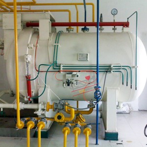 Planta de Molienda de Aceite Comestible de Acero Inoxidable Totalmente Automática de 5 Toneladas por Día para la Producción de Aceite de Oliva, Maní, Soja y Girasol - Product Image 4