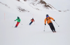 Esquís de Freeride para Adultos FLORUIT, Equipo de Esquí Wayback para Terrenos Difíciles DL-KI14-179 DL-KI14-179 DL-KI14-179 - Product Image 2