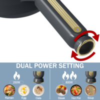 Marmite Électrique Tout-en-un 2L en Acier Inoxydable avec Couvercle en Verre Trempé, Commande Mécanique 700W, pour Frire, Faire Bouillir, Mijoter – Idéale pour la Maison et l'Extérieur