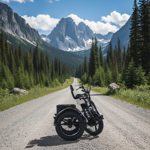 <span class=keywords><strong>Prix</strong></span> Spécial 2026 Tricycle Électrique Pliant en Acier 48V 500W Puissant avec Panier Arrière, Carrosserie Ouverte, Passager, 24 Pouces, Certifié DOT EEC - Product Image 1