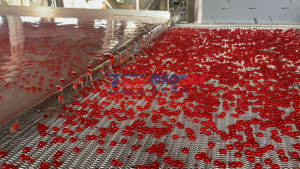 Nueva Línea de Producción de Boba Totalmente Automática de Alta Productividad para la Fabricación Industrial de Snacks y Confitería Comercial - Product Image 5