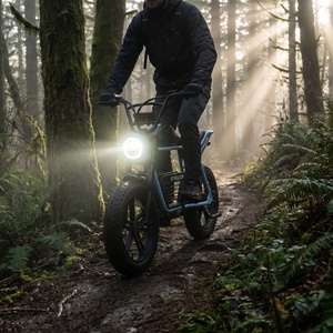 Vélo électrique tout-terrain à pneus larges avec pneus amortisseurs, vélo électrique polyvalent pour les chemins en terre et en asphalte - Product Image 3