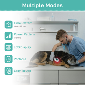 Kalt laser Katzen Hunde therapie Arthrose Degenerative Gelenk krankheit Rehabilitation gerät für Haustiere Gesundheits wesen - Product Image 4
