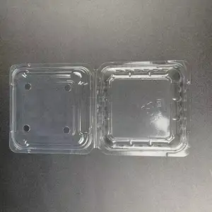 使い捨てプラスチックテイクアウェイ寿司食品包装ボックス