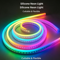 Bande LED néon RVB adressable haute luminosité 5V avec connecteur USB, silicone, indice de protection IP67 pour la décoration intérieure