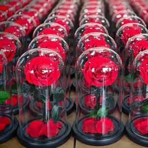 Rosas Cristalinas Transparentes Preservadas, Rosas Eternas Reales, Infinitas, Rosas Eternas Preservadas en Cúpula de Cristal - Product Image 5