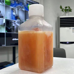 เซรั่มม้าแบบกำหนดเอง FBS เซรั่มทารกในครรภ์วัว 500 มล. สารเสริมภูมิคุ้มกันสำหรับการเพาะเลี้ยงเซลล์ โรงงานผลิต FBS ในจีนสำหรับอุปกรณ์ห้องปฏิบัติการ - Product Image 2